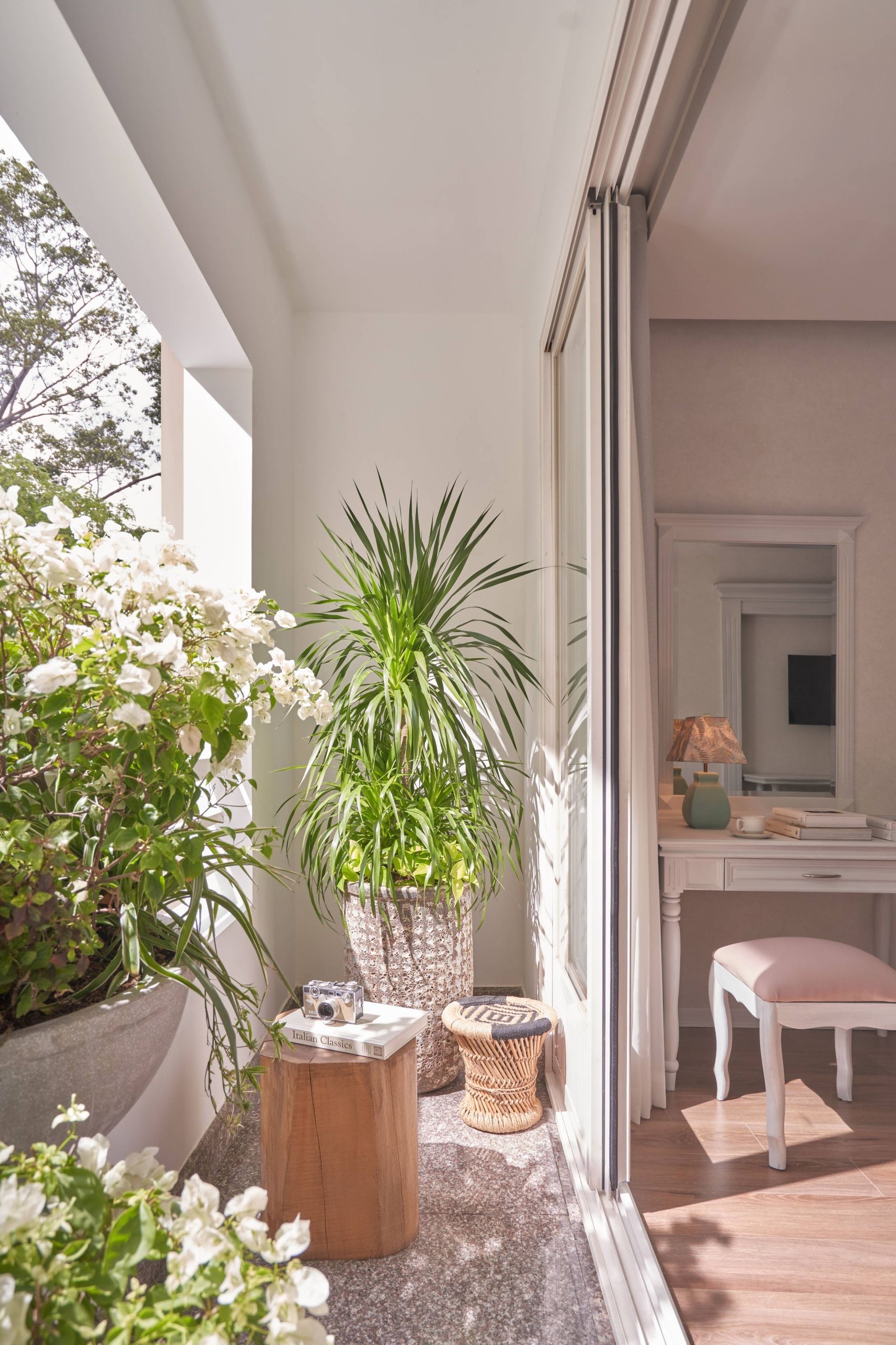 Bougainvillaea Signature