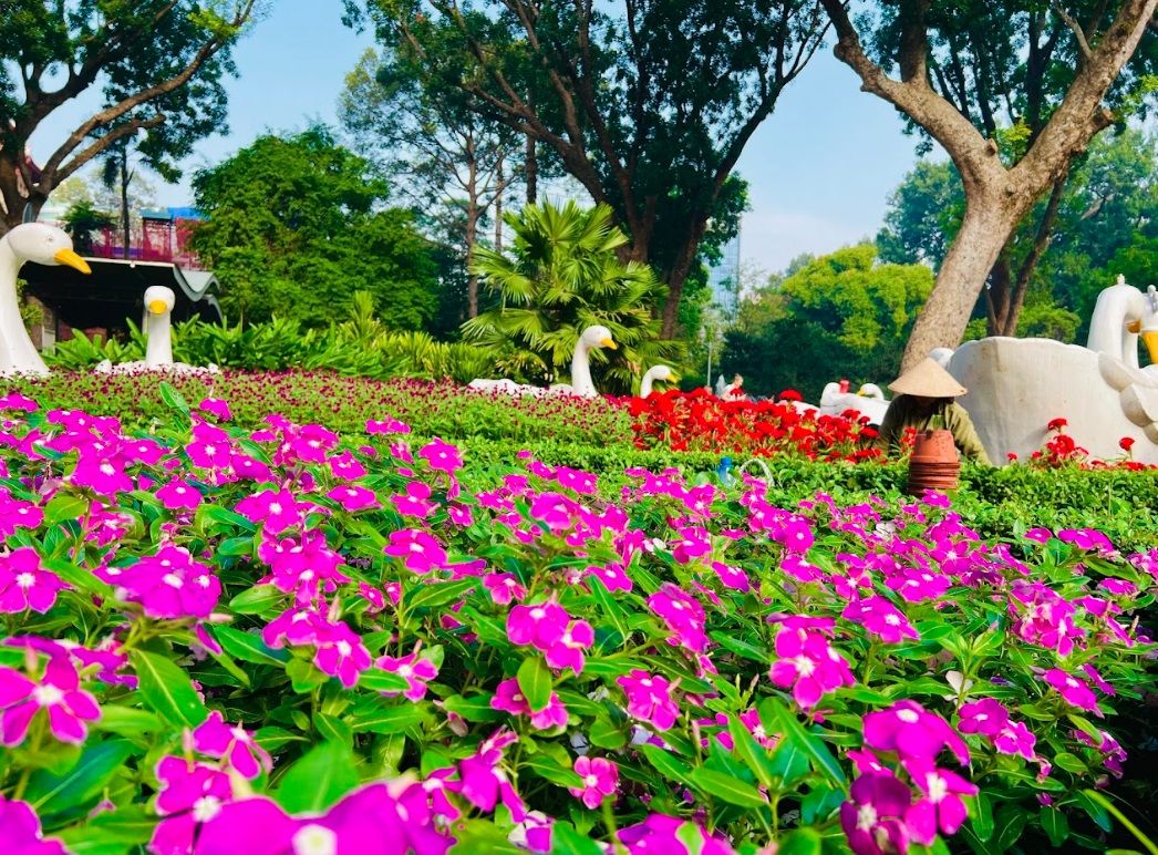 thao cam vien 20240108142803